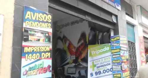 ZONA GRAFICA CALLE 10 CON 27 ZONA GRAFICA CALLE 10 CON 27